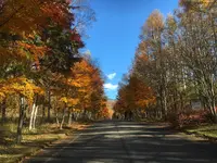 横谷観音の写真・動画_image_712595