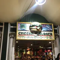 Cheeseburger In Paradiseの写真・動画_image_715300