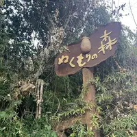 ぬくもりの森の写真・動画_image_715619