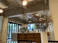 hocus pocusの写真・動画_image_719507
