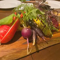 Table beet テーブルビートの写真・動画_image_721205