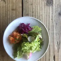 Chipakoyaの写真・動画_image_721245