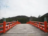 喜撰橋の写真・動画_image_722394
