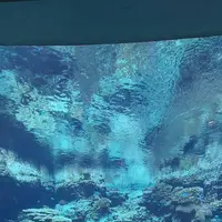 沖縄の写真・動画_image_723596