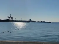 千葉ポートタワーの写真・動画_image_725898