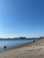 千葉ポートタワーの写真・動画_image_725900