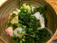 鯛樹の写真・動画_image_731483