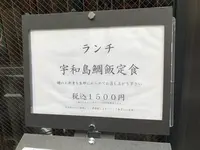 鯛樹の写真・動画_image_731485