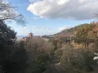 京都の写真・動画_image_732475