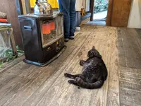 ねこグッズのお店 Le chatの写真・動画_image_733326