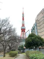 東京タワーの写真・動画_image_734124