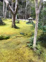祇王寺の写真・動画_image_734440