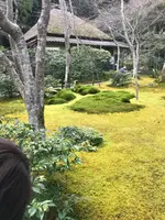 祇王寺の写真・動画_image_734442
