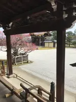 大覚寺の写真・動画_image_734444