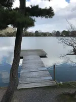 大覚寺の写真・動画_image_734445