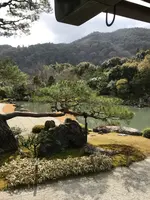 天龍寺の写真・動画_image_734454