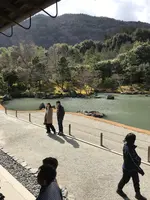 天龍寺の写真・動画_image_734457