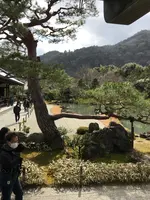 天龍寺の写真・動画_image_734458