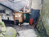 猫の細道の写真・動画_image_734932
