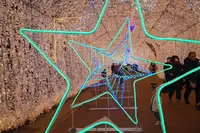 御殿場高原時之栖 ひかりのすみか 第一会場の写真・動画_image_735141