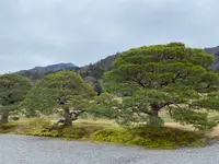 修学院離宮の写真・動画_image_737125