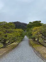 修学院離宮の写真・動画_image_737127
