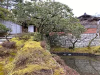 修学院離宮の写真・動画_image_737136