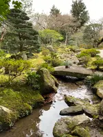 修学院離宮の写真・動画_image_737137
