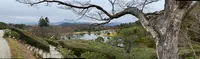 修学院離宮の写真・動画_image_737142
