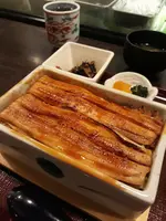 まめたぬきの写真・動画_image_738130