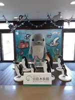 宮島水族館 みやじマリンの写真・動画_image_738132