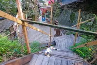 尾道市の写真・動画_image_738195