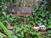 猫の細道の写真・動画_image_738227