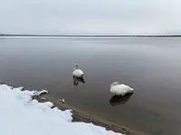 ウトナイ湖の写真・動画_image_738581