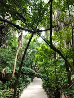 青島神社の写真・動画_image_738693