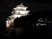 鳥開総本家の写真・動画_image_738823