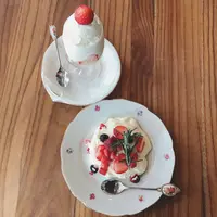 ipe=anroの写真・動画_image_739164