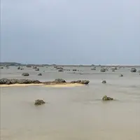伊良部島の写真・動画_image_739886