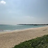 伊良部島の写真・動画_image_739888