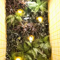 焼きたてチーズタルト専門店PABLO 金沢もりの里店の写真・動画_image_739993