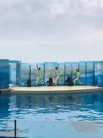 新江ノ島水族館の写真・動画_image_740861