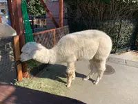 東武動物公園の写真・動画_image_742558