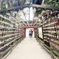 青島神社の写真・動画_image_743145
