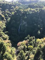九重”夢”大吊橋 北方ゲートの写真・動画_image_743487