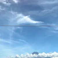 酔ごころの写真・動画_image_743495