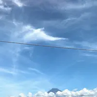 酔ごころの写真・動画_image_743496
