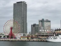 掬星台の写真・動画_image_743504
