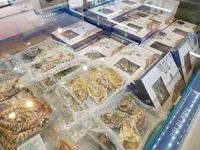 竹原港の写真・動画_image_744219