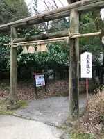 天岩戸神社の写真・動画_image_744713