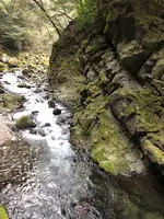 天安河原の写真・動画_image_744722